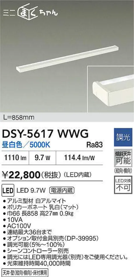 DSY-5617WWG