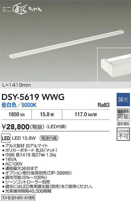 DSY-5619WWG