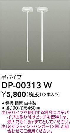 DP-00313W
