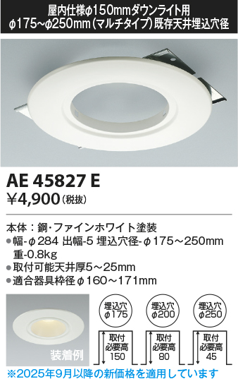 KAE45827E