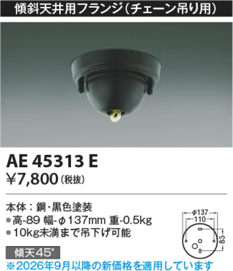 AE45313E