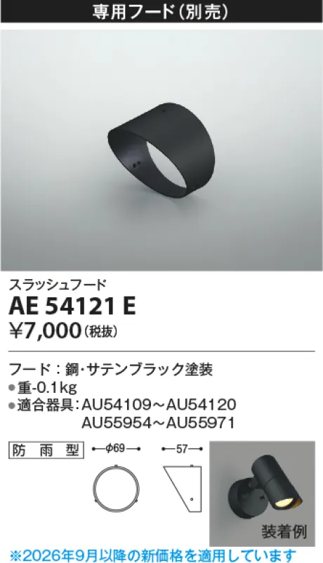 AE54121E