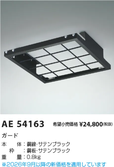 AE54163