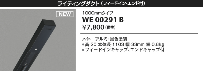WE00291B