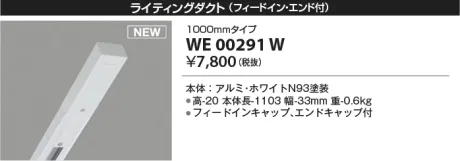 WE00291W