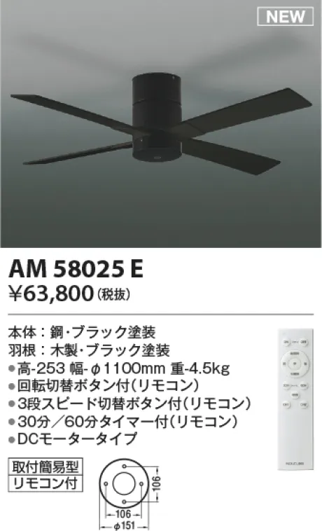 AM58025E
