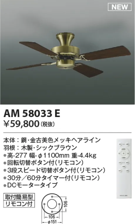 AM58033E