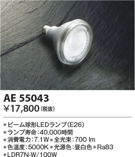 AE55043