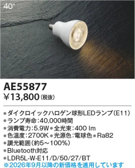 AE55877