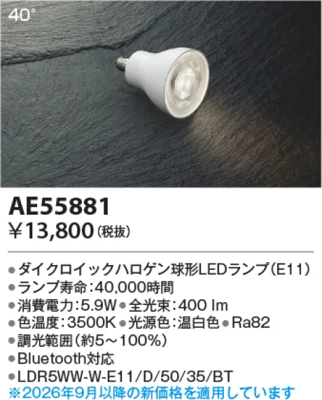 AE55881