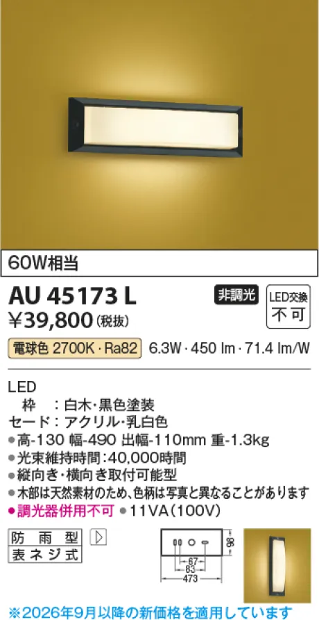 AU45173L