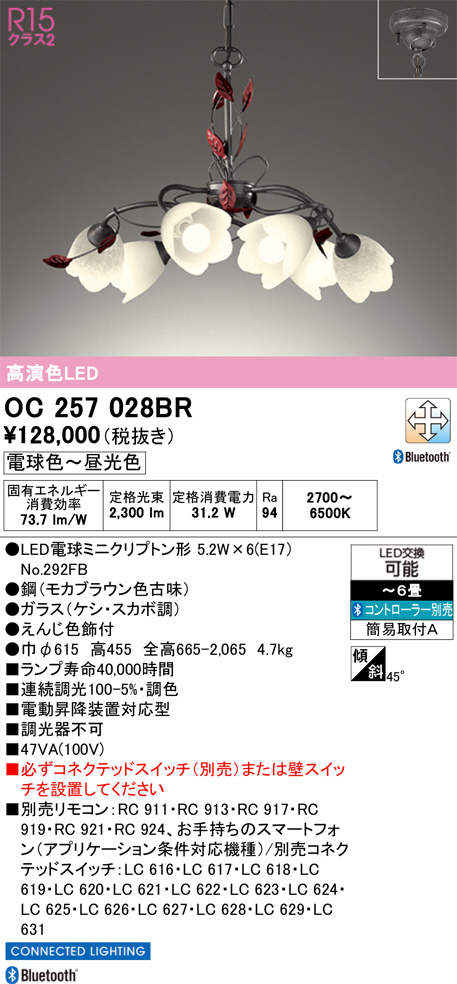 OC257028BR