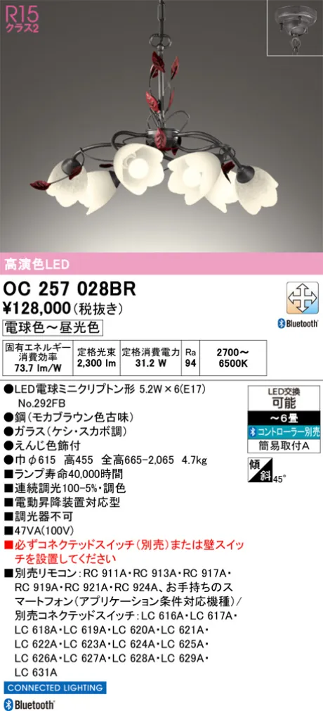 OC257028BR