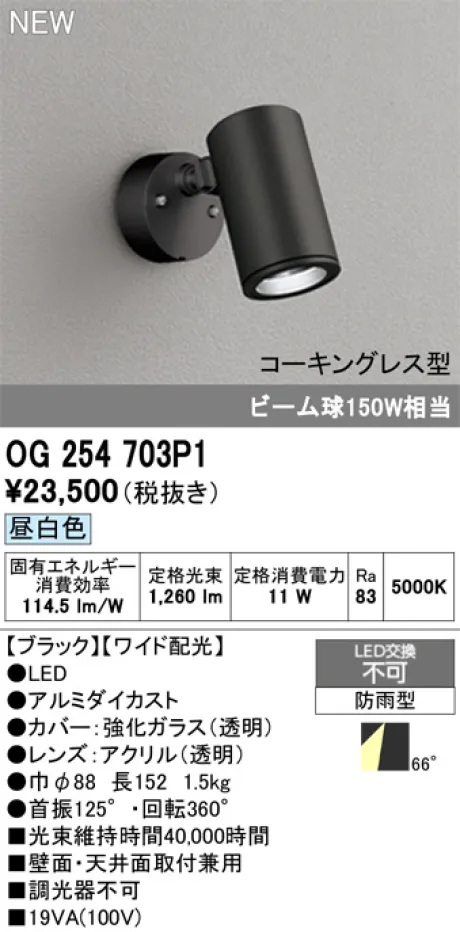 OG254703P1