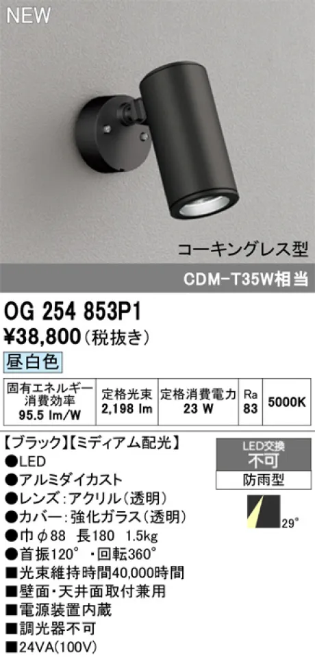 OG254853P1