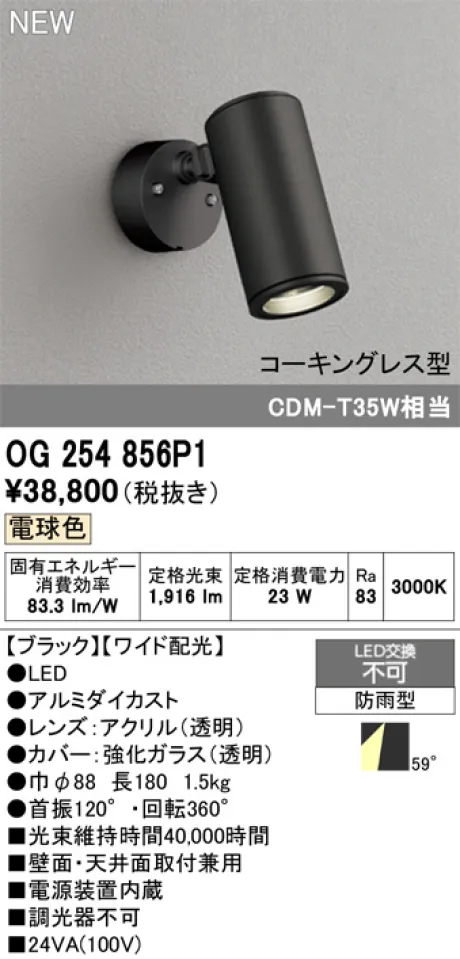 OG254856P1