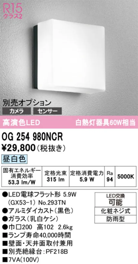 OG254980NCR