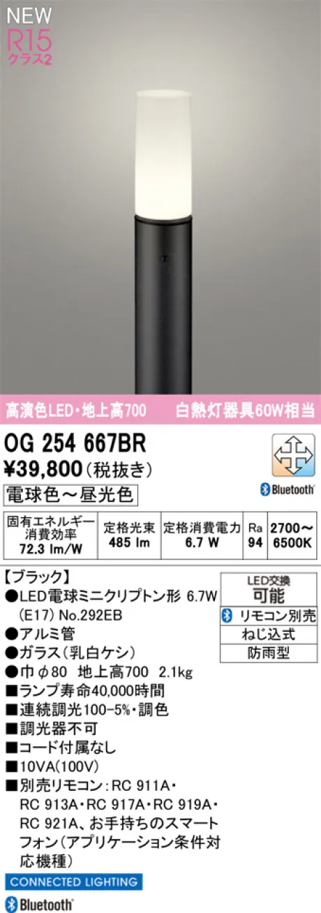 OG254667BR