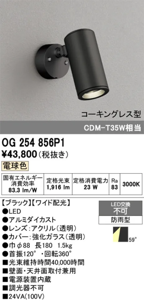 OG254856P1