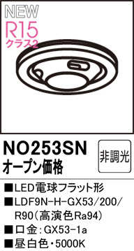 NO253SN