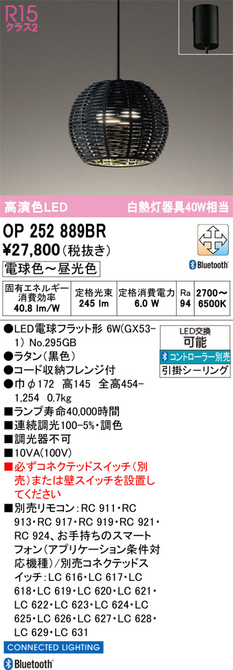 OP252889BR