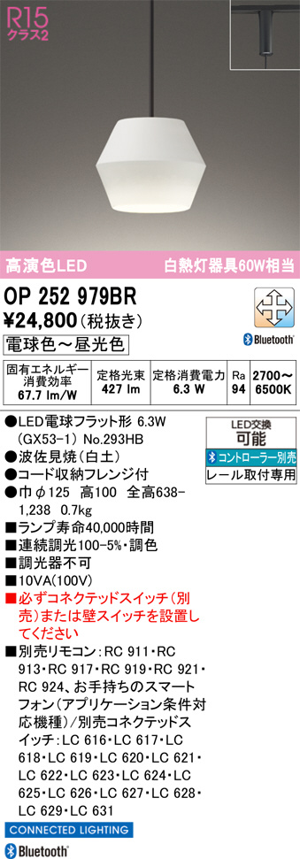 OP252979BR