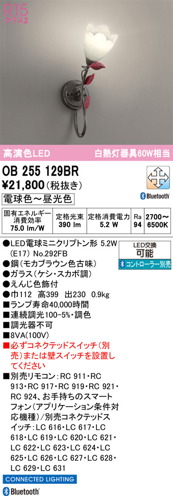OB255129BR
