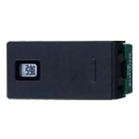 WTA525233B
