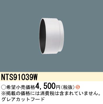 NTS91039W