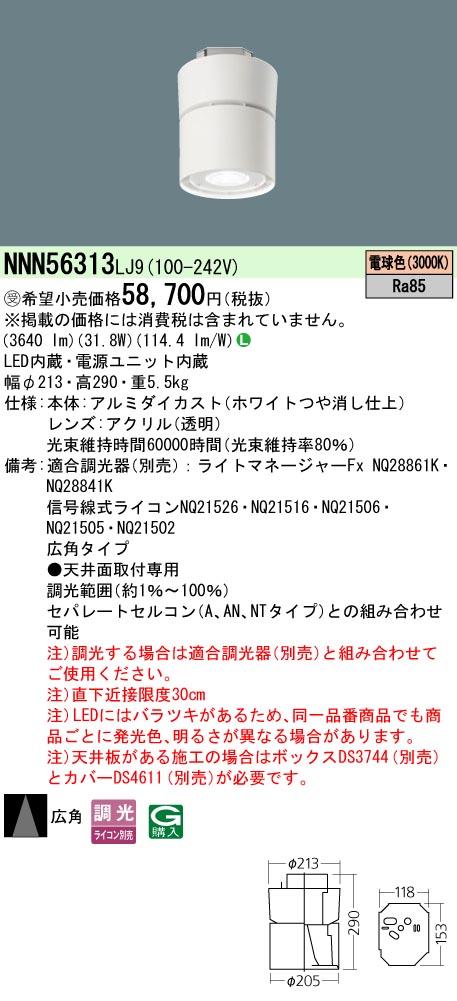 NNN56313LJ9
