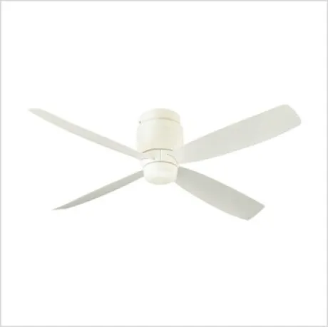 F-V113C-W