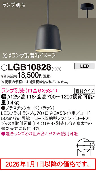 LGB10828