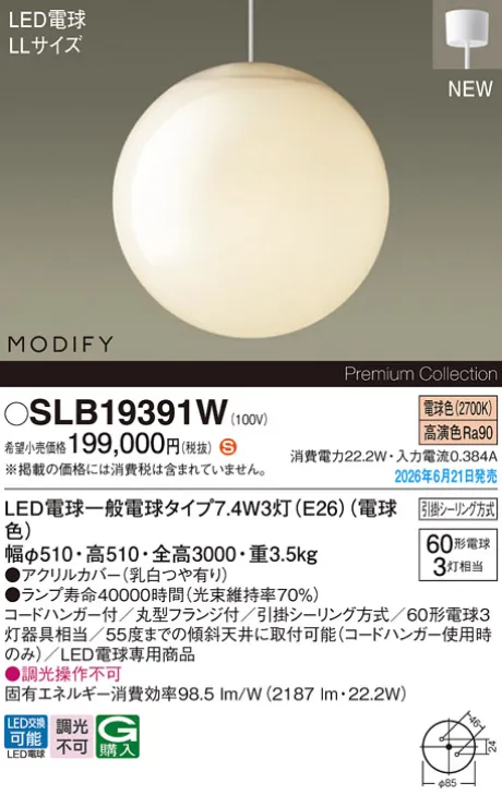SLB19391W