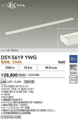 DSY-5619YWG