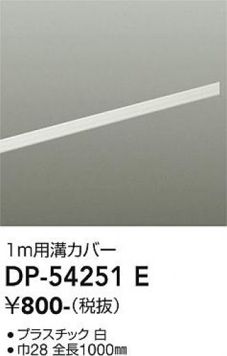 DP-54251E