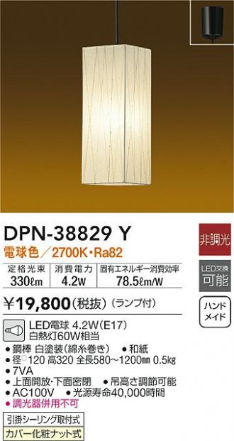 DPN-38829Y
