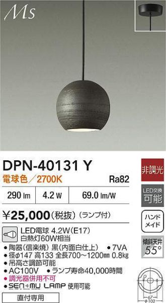DPN-40131Y