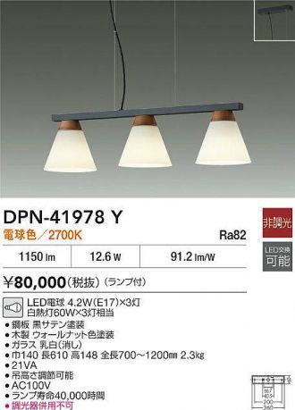 DPN-41978Y