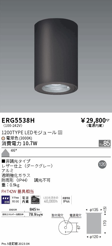 ERG5538H