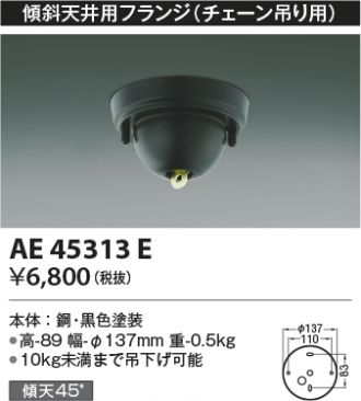 AE45313E