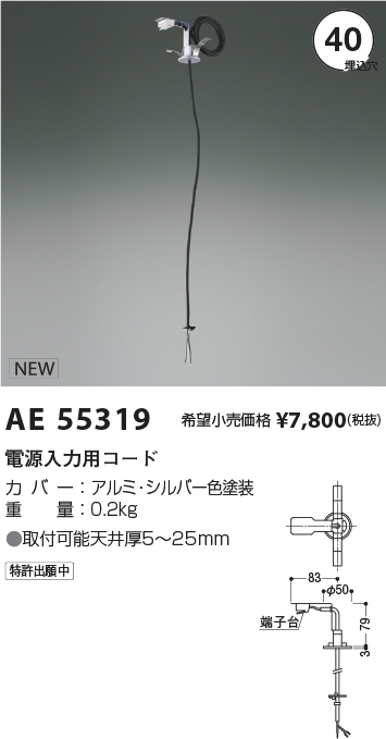 AE55319