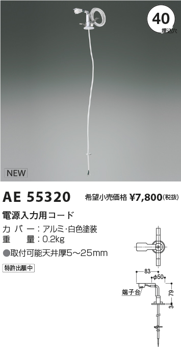 AE55320