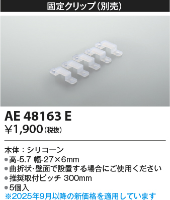 AE48163E