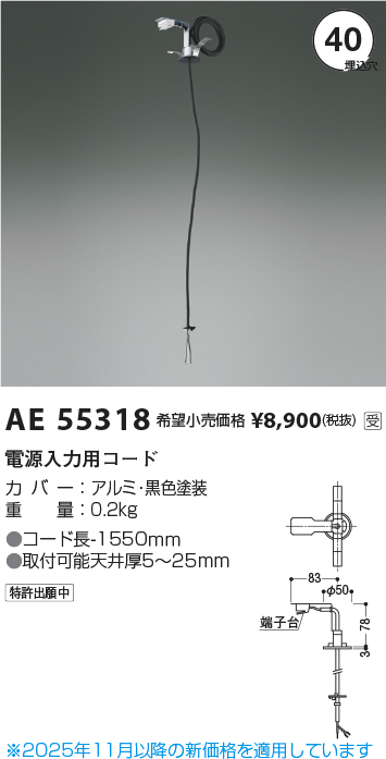 AE55318