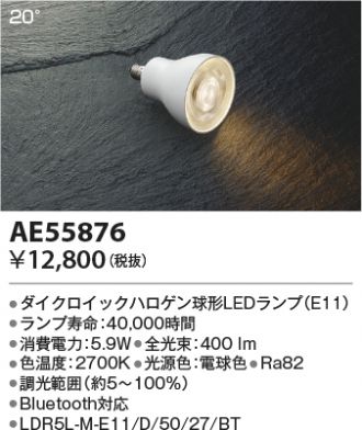 AE55876