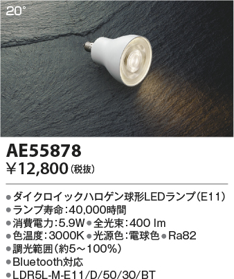 AE55878