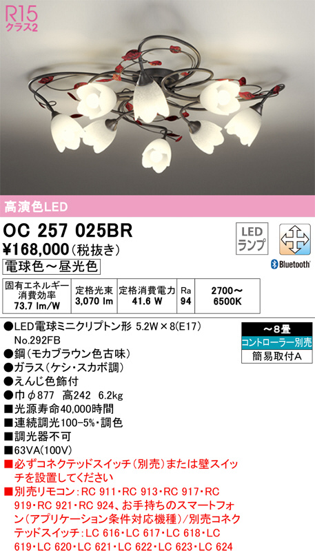 ODELIC オーデリック OC257025BR ランプ別梱包 Σ 電球
