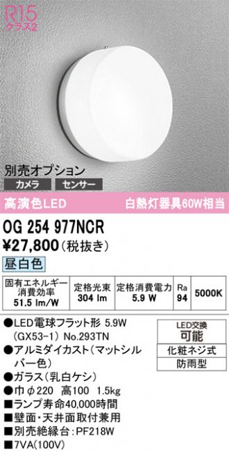OG254977NCR