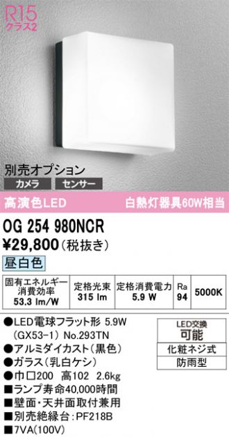 OG254980NCR