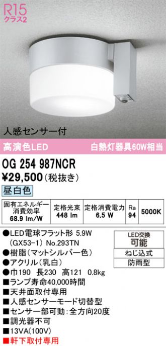 OG254987NCR